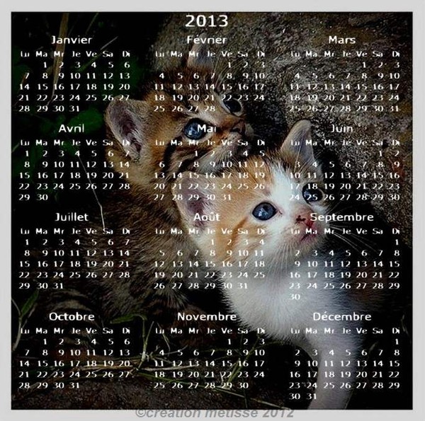 CALENDRIER 2013