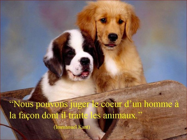 CITATION 