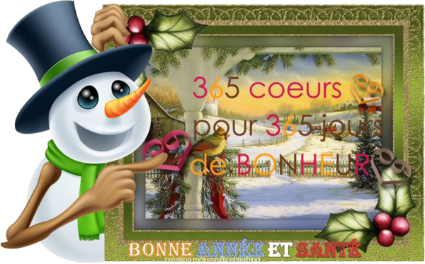 BONNE ANNEE 2013