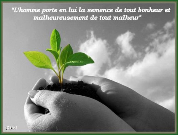 CITATION 